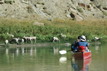 Missouri River Canoe Wildlife