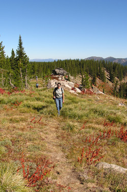 hiking trail view