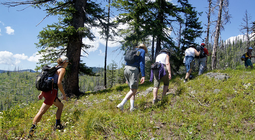 trail adventures in Montana