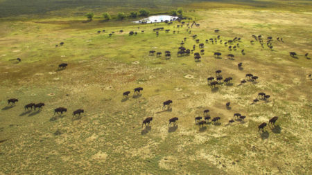 American Prairie Reserve